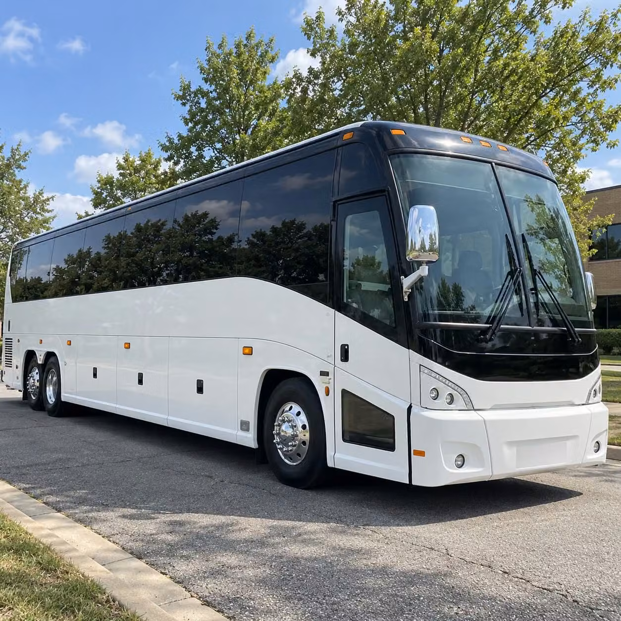bachelorette party bus rentals across mount pleasant and downtown charleston